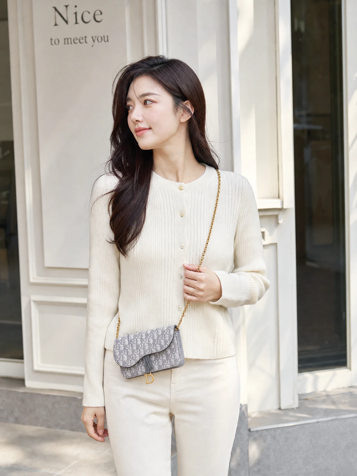 체인이 우아한 새들 파우치
